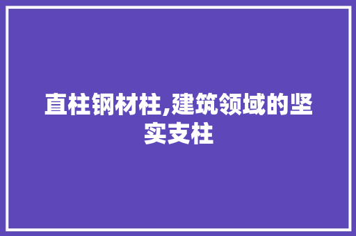 直柱钢材柱,建筑领域的坚实支柱