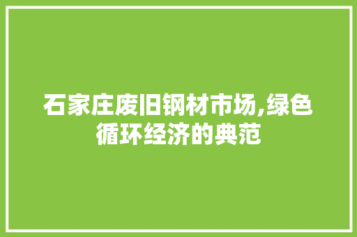 石家庄废旧钢材市场,绿色循环经济的典范
