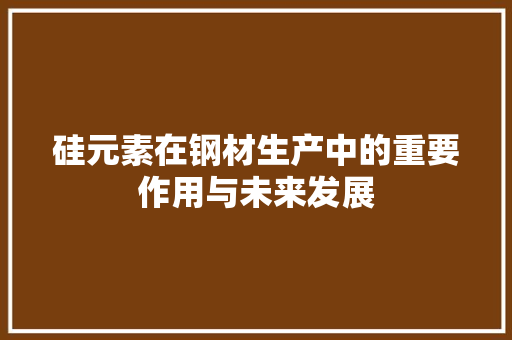 硅元素在钢材生产中的重要作用与未来发展