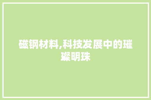 磁钢材料,科技发展中的璀璨明珠