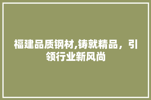 福建品质钢材,铸就精品，引领行业新风尚