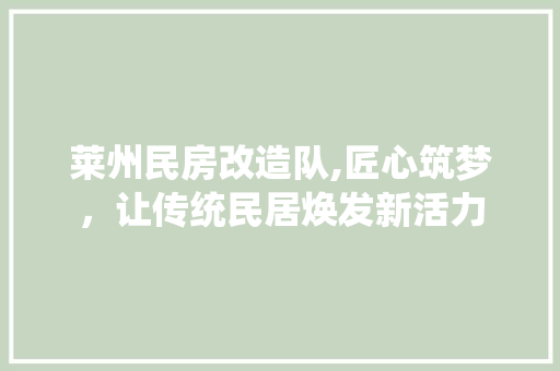 莱州民房改造队,匠心筑梦，让传统民居焕发新活力