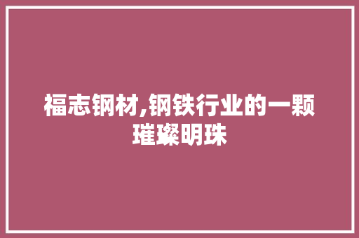 福志钢材,钢铁行业的一颗璀璨明珠