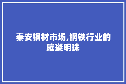 秦安钢材市场,钢铁行业的璀璨明珠