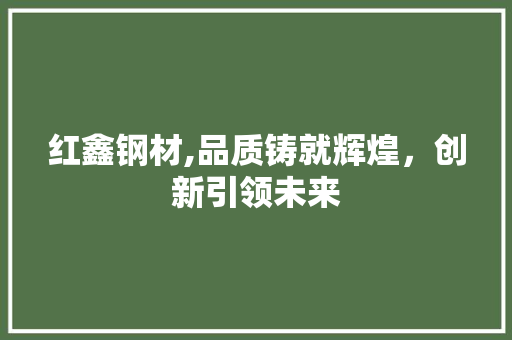红鑫钢材,品质铸就辉煌，创新引领未来