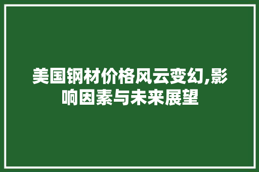 美国钢材价格风云变幻,影响因素与未来展望