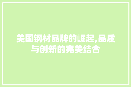 美国钢材品牌的崛起,品质与创新的完美结合
