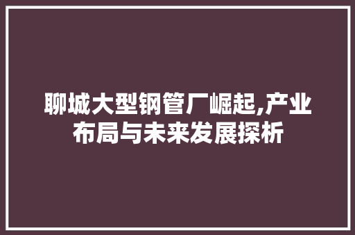 聊城大型钢管厂崛起,产业布局与未来发展探析