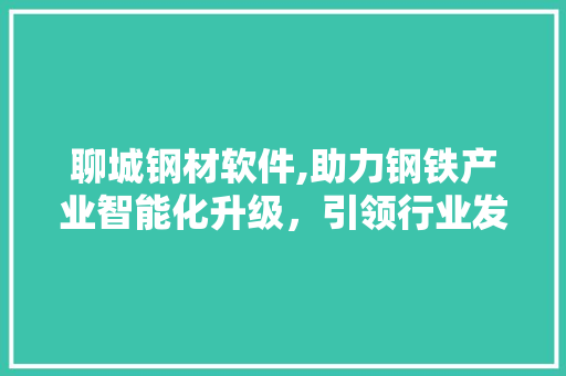 聊城钢材软件,助力钢铁产业智能化升级，引领行业发展新潮流