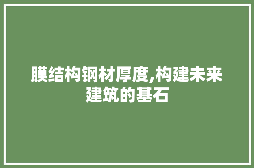 膜结构钢材厚度,构建未来建筑的基石