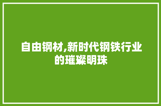 自由钢材,新时代钢铁行业的璀璨明珠