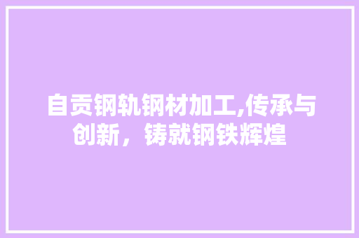 自贡钢轨钢材加工,传承与创新，铸就钢铁辉煌