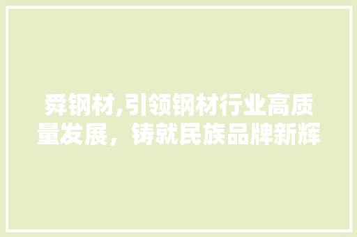 舜钢材,引领钢材行业高质量发展，铸就民族品牌新辉煌