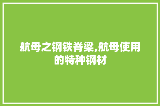 航母之钢铁脊梁,航母使用的特种钢材