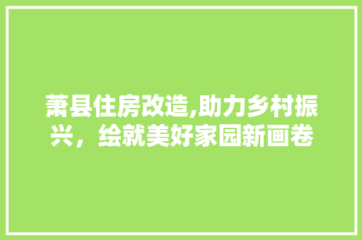 萧县住房改造,助力乡村振兴，绘就美好家园新画卷