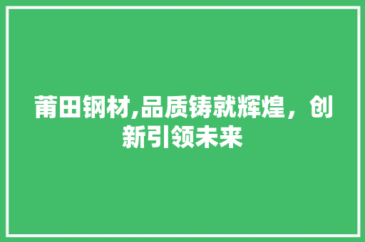 莆田钢材,品质铸就辉煌，创新引领未来