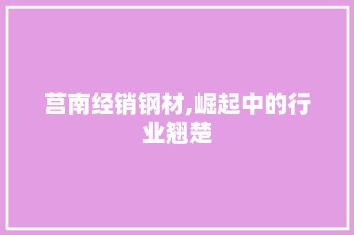 莒南经销钢材,崛起中的行业翘楚