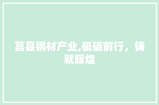 莒县钢材产业,砥砺前行，铸就辉煌