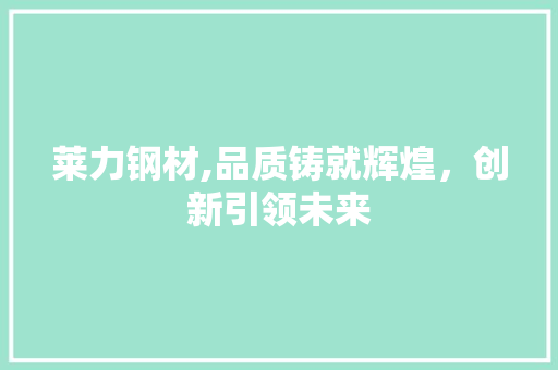 莱力钢材,品质铸就辉煌，创新引领未来