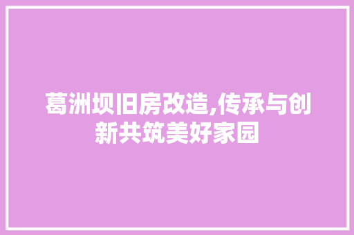葛洲坝旧房改造,传承与创新共筑美好家园