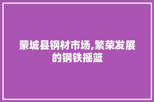 蒙城县钢材市场,繁荣发展的钢铁摇篮