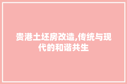 贵港土坯房改造,传统与现代的和谐共生