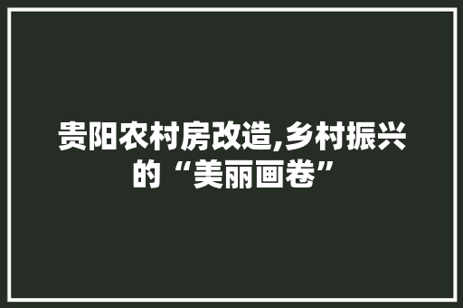 贵阳农村房改造,乡村振兴的“美丽画卷”