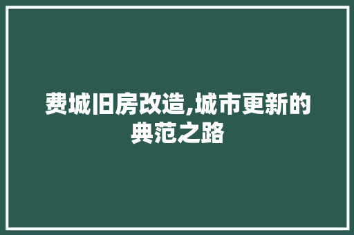 费城旧房改造,城市更新的典范之路