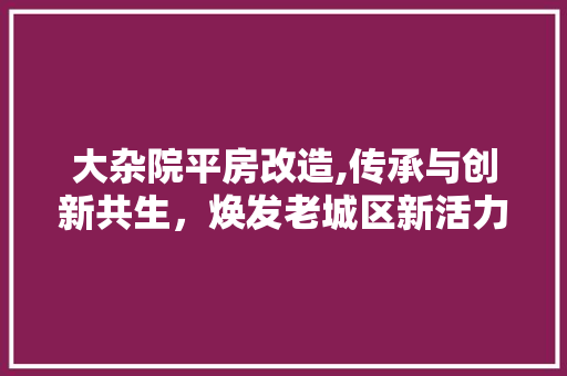 大杂院平房改造,传承与创新共生，焕发老城区新活力