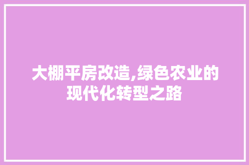 大棚平房改造,绿色农业的现代化转型之路