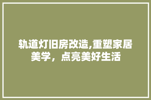 轨道灯旧房改造,重塑家居美学，点亮美好生活