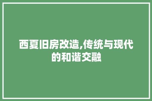 西夏旧房改造,传统与现代的和谐交融