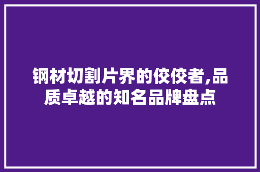 钢材切割片界的佼佼者,品质卓越的知名品牌盘点