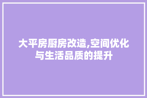 大平房厨房改造,空间优化与生活品质的提升