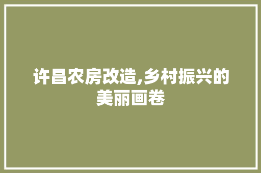 许昌农房改造,乡村振兴的美丽画卷