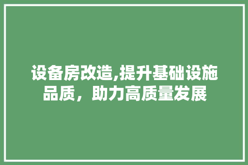 设备房改造,提升基础设施品质，助力高质量发展