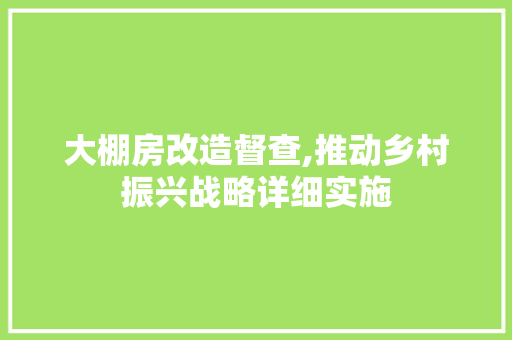 大棚房改造督查,推动乡村振兴战略详细实施