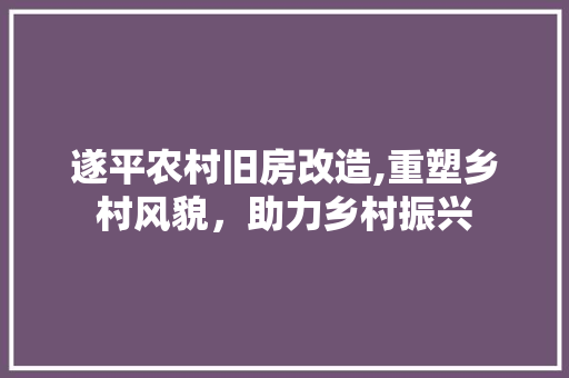 遂平农村旧房改造,重塑乡村风貌，助力乡村振兴