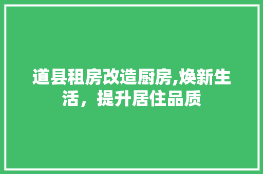道县租房改造厨房,焕新生活，提升居住品质