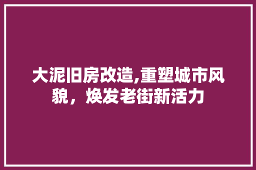 大泥旧房改造,重塑城市风貌，焕发老街新活力