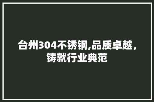 台州304不锈钢,品质卓越，铸就行业典范