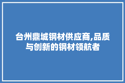 台州鼎城钢材供应商,品质与创新的钢材领航者