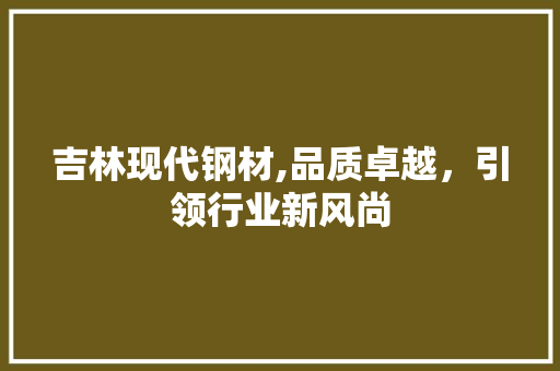吉林现代钢材,品质卓越，引领行业新风尚