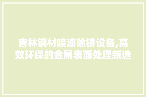 吉林钢材喷漆除锈设备,高效环保的金属表面处理新选择
