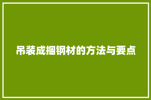 吊装成捆钢材的方法与要点