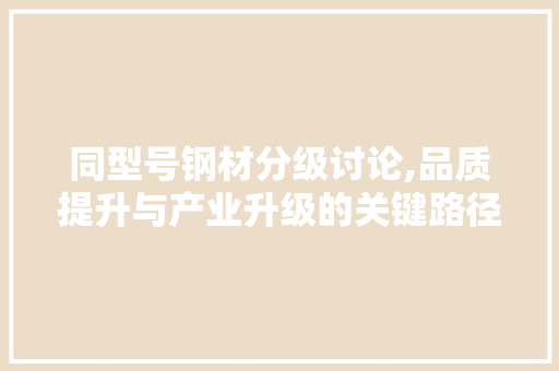 同型号钢材分级讨论,品质提升与产业升级的关键路径