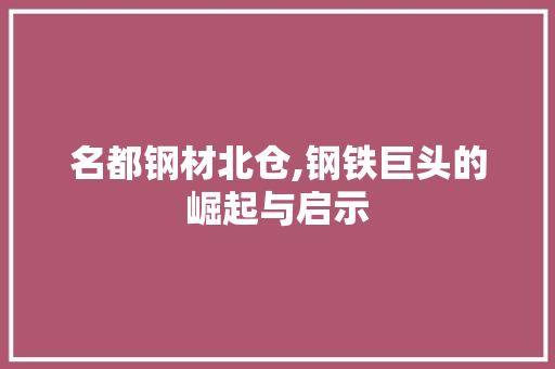 名都钢材北仓,钢铁巨头的崛起与启示