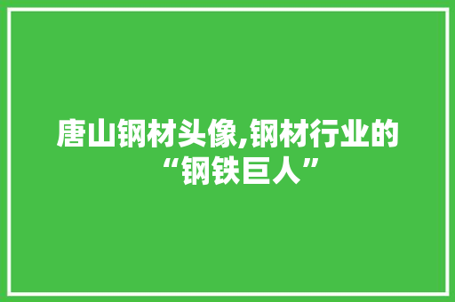 唐山钢材头像,钢材行业的“钢铁巨人”