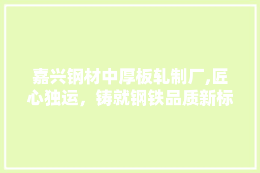 嘉兴钢材中厚板轧制厂,匠心独运，铸就钢铁品质新标杆