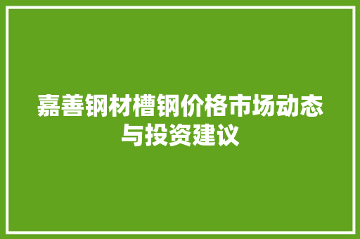 嘉善钢材槽钢价格市场动态与投资建议